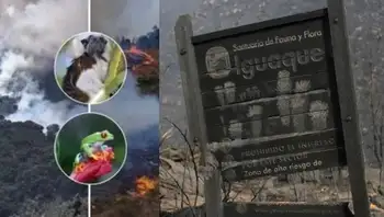 Incendio forestal amenaza el Santuario de Fauna y Flora Iguaque en Boyacá. ¿Dónde queda Iguaque? El Santuario de Fauna que ahora está en riesgo por los incendios en Boyacá