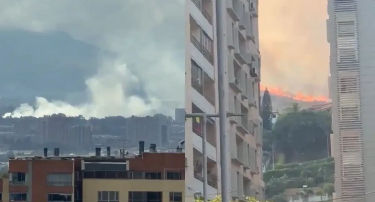 Incendios en Cali y Bogotá Incendios forestales hoy ponen en alerta a Cali y Bogotá: varias hectáreas están afectadas