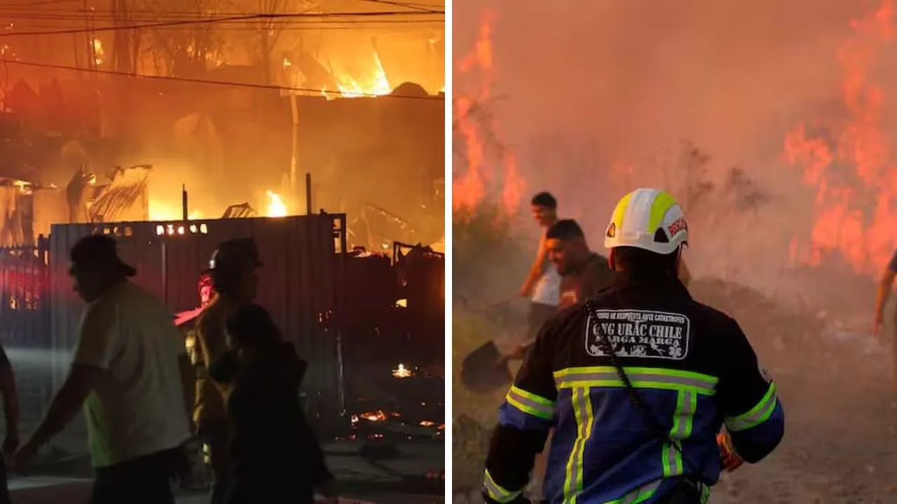 Incendios forestales arrasan zonas pobladas en el sur de Chile. Chile declara estado de catástrofe por incendios en el sur: cerca de 50.000 personas evacuadas