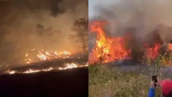 Incendios forestales aumentan el riesgo ambiental en Colombia durante El Niño. ¿Qué tienen que ver los incendios en Colombia con la llegada del Fenómeno del Niño? experto explica