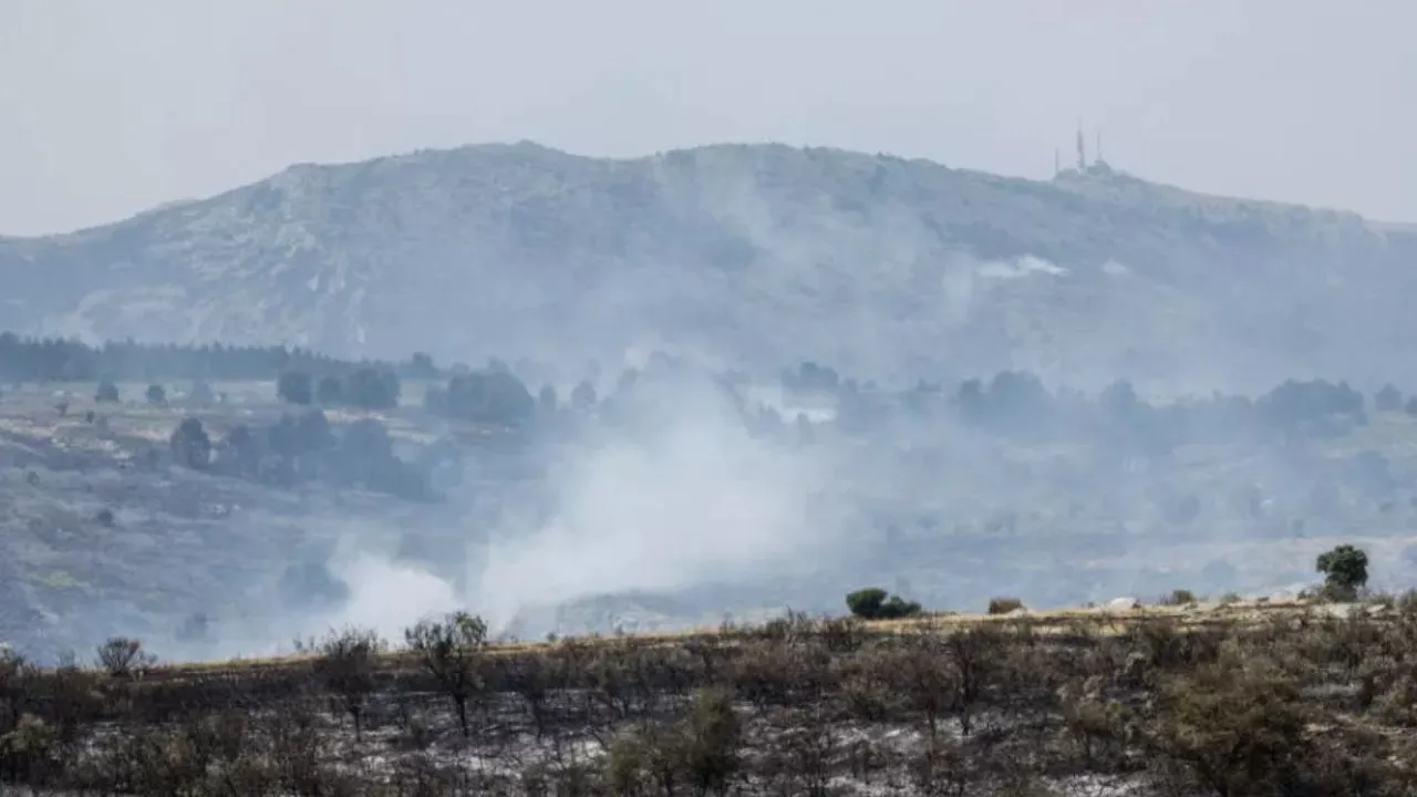 Incendios forestales en España Incendio forestal en España ya arrasó 32.000 hectáreas: así luchan por controlar las llamas