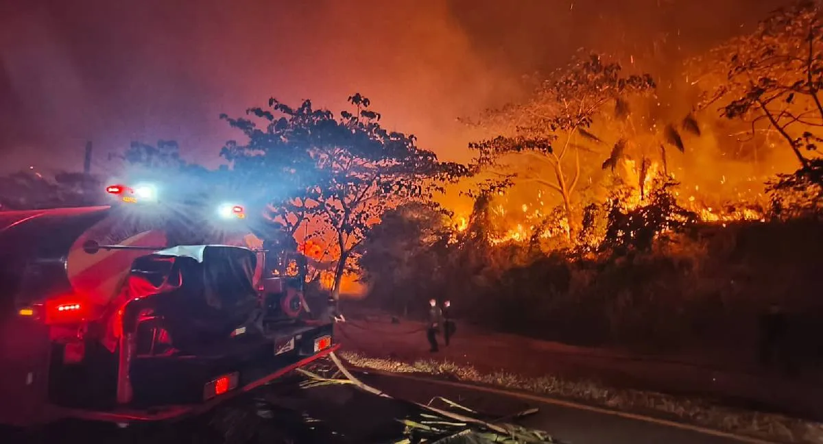 Incendios forestales en Tolima El fuego no da tregua en Tolima y Huila: estas son las cifras que preocupan a las autoridades