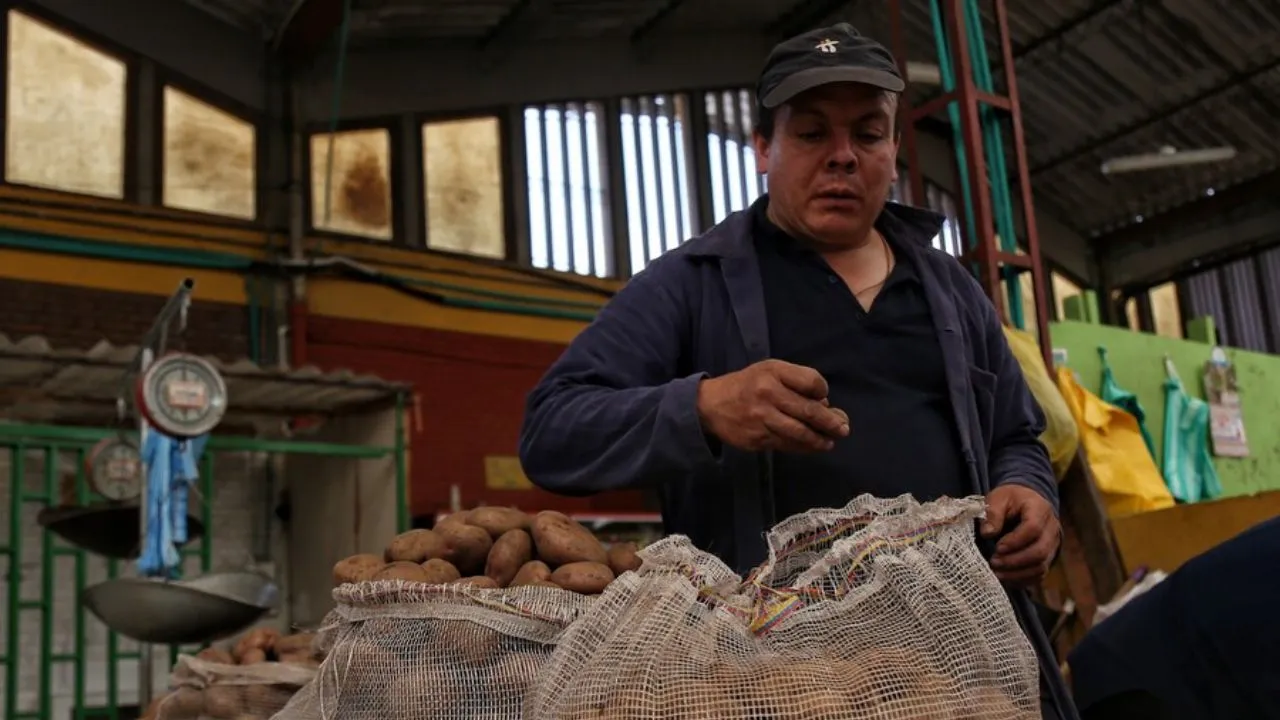 Inflación octubre de 2025 La inflación en octubre llegó otra vez a 5,4 %: ¿Si sube como palma, algún día bajará?
