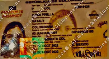 Joven colombiana fue hallada sin vida en un apartamento. Hallan sin vida a colombiana de 29 años en un apartamento de Ciudad de México. ¿Qué pasó?