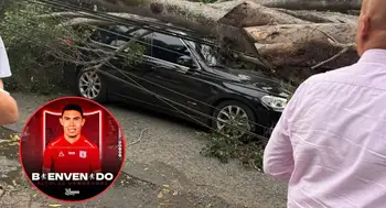 Jugador de América casi muere aplastado en Cali por un árbol: ¿cómo se salvó? Jugador de América casi muere aplastado en Cali por un árbol: ¿cómo se salvó?