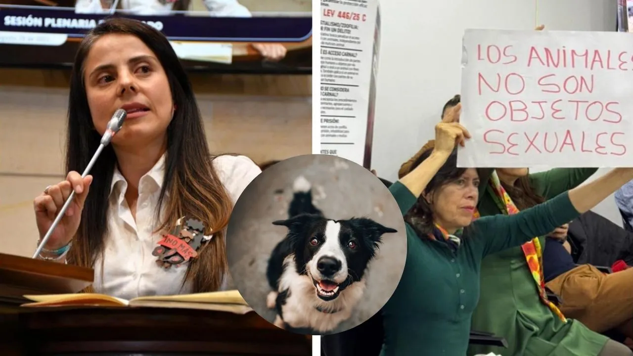 Ley de carcel para violadores de animales. Cárcel para violadores de animales está a un debate de aprobarse en el Congreso