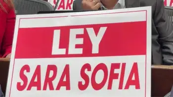 Ley Sara Sofía ya es una realidad: celulares recibirán alertas sobre menores desaparecido. Ley Sara Sofía: ¿cómo funcionará el sistema que alertará a todo el país sobre niños desaparecidos?
