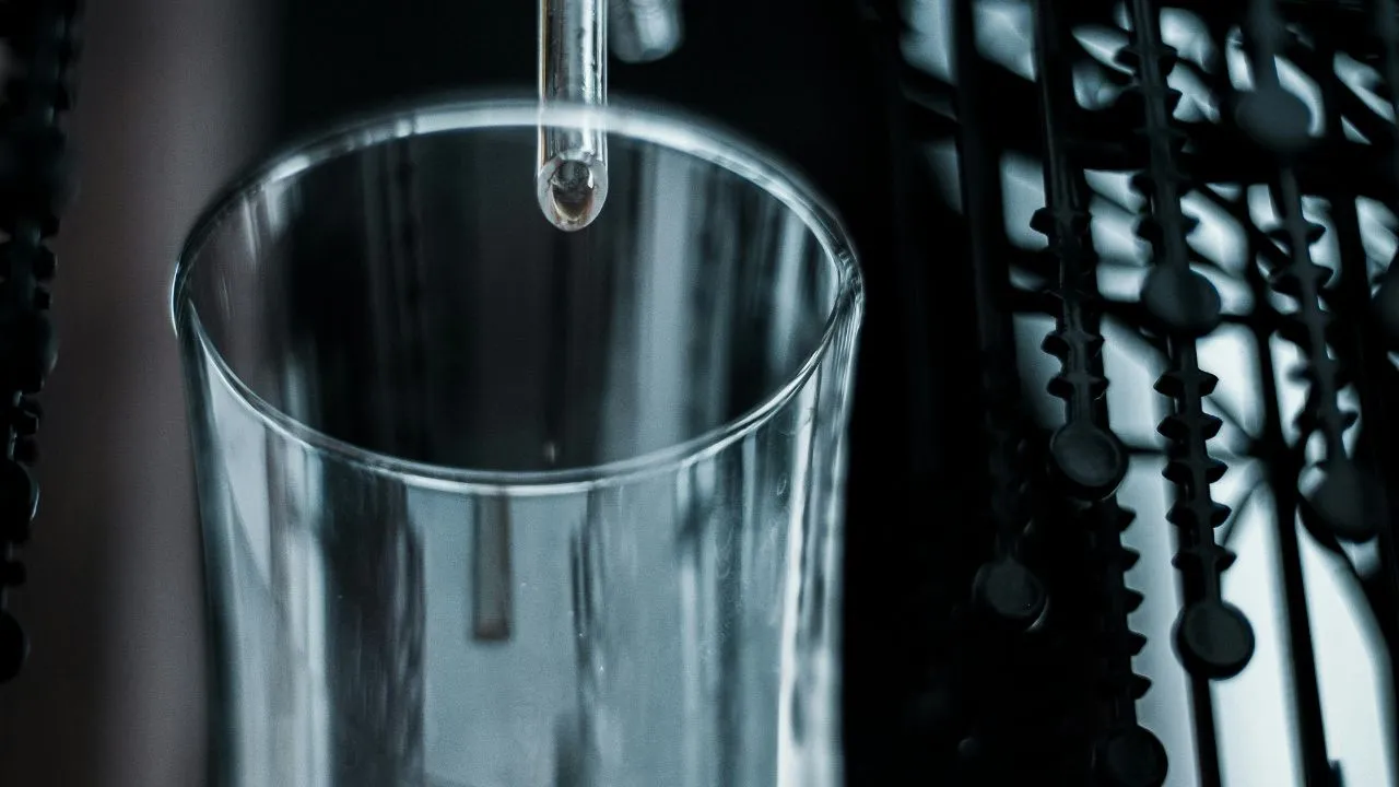 Licor Artesanal Entre tradición y riesgo: los licores artesanales que marcan regiones del país