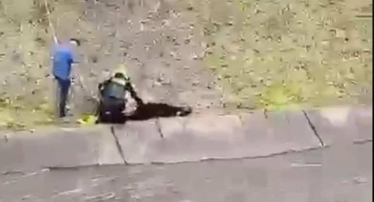 Lluvias Bogotá Video | Dos hombres cayeron a un canal en la calle 63 y fueron arrastrados por las lluvias