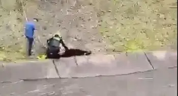 Lluvias Bogotá Video | Dos hombres cayeron a un canal en la calle 63 y fueron arrastrados por las lluvias