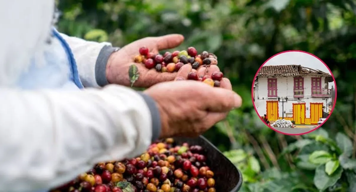 Más de 8.000 cafeteros afectados por terremoto en Colombia Lanzan campaña para apoyar a más de 8.000 cafeteros afectados por el terremoto: ¿cómo donar?