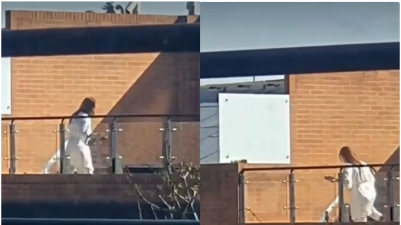 Mujer golpeó a dos perros en Bogotá: usó un viejo y doloroso método de castigo. Indignación en Bogotá: mujer golpeó a dos perros y usó un viejo método de castigo