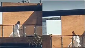 Mujer golpeó a dos perros en Bogotá: usó un viejo y doloroso método de castigo. Indignación en Bogotá: mujer golpeó a dos perros y usó un viejo método de castigo