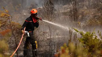 Ola de calor en Europa Ola de calor: Europa enfrenta uno de los veranos más calurosos de la historia