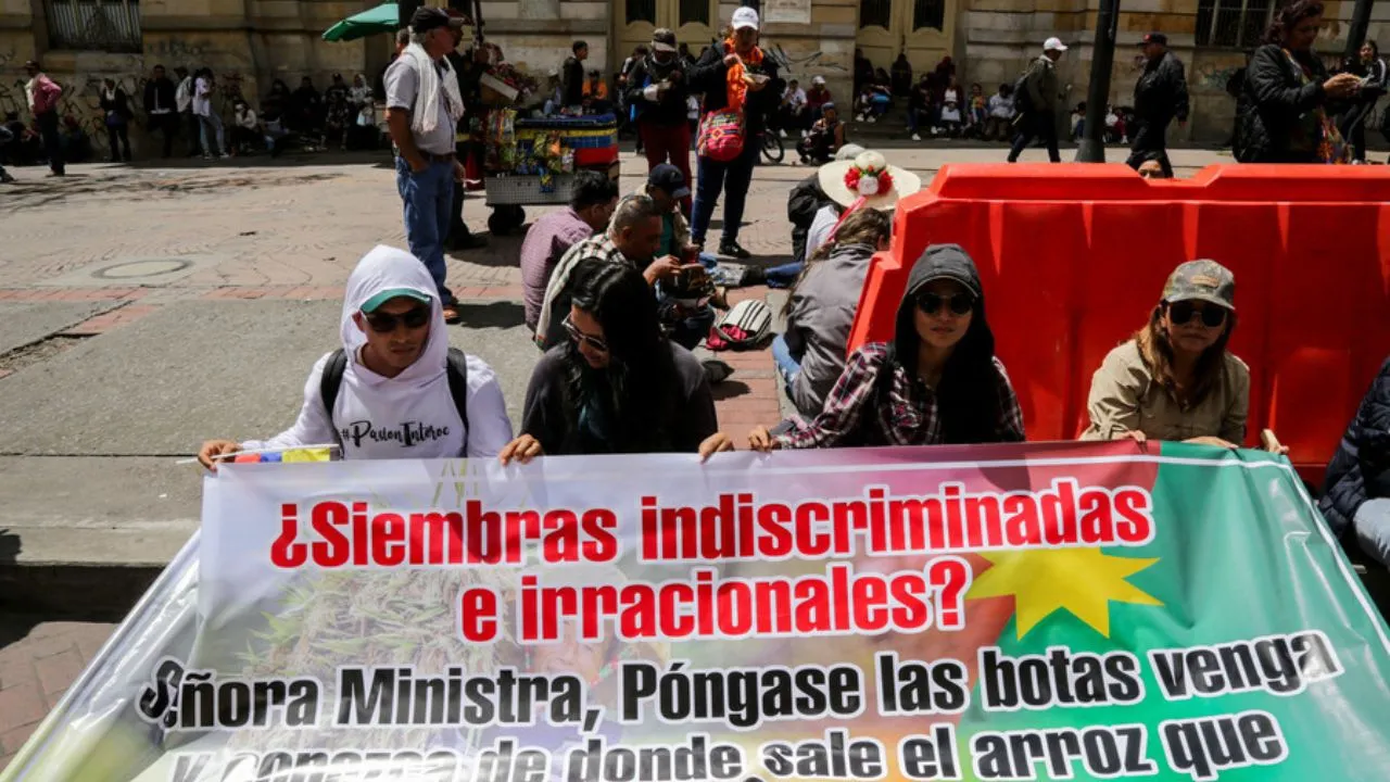 Paro arrocero de 2025 La Superindustria autorizó que los arroceros fijen precios a su cosecha
