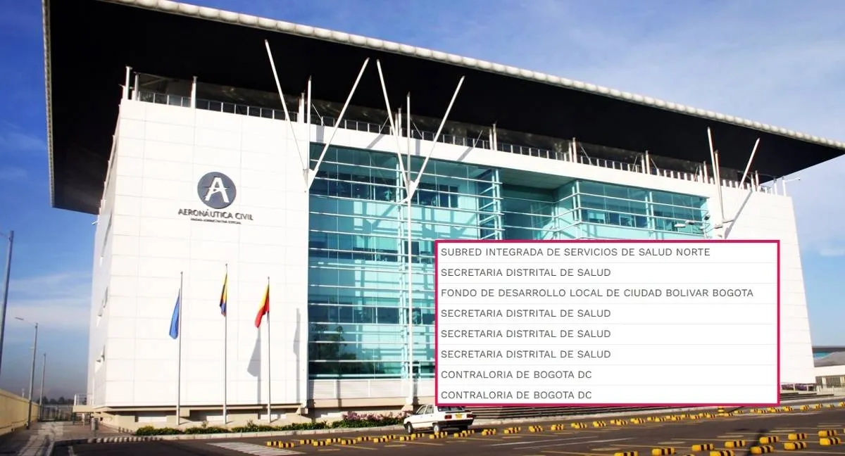 Preocupación por cargos en Aerocivil Alerta en Aerocivil: perfiles nombrados no registran experiencia aeronáutica, ¿sector en riesgo?