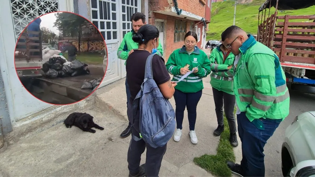 Sanciones para ciudadanos que botaron basuras en Bogotá Así sancionaron a ciudadano por usar de "botadero" las calles de Bogotá