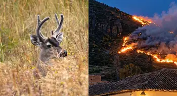 Santuario de Fauna y Flora de Iguaque Este es el santuario natural que está en riesgo por los incendios en Villa de Leyva