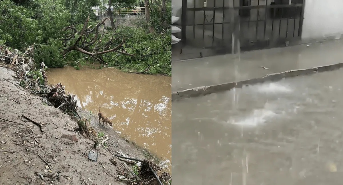 Tormenta eléctrica en Santa Marta (Magdalena) inundó calles de 11 sectores. ¿Seguirá lloviendo en Santa Marta? Esto respondió el Ideam tras la tormenta eléctrica del sábado
