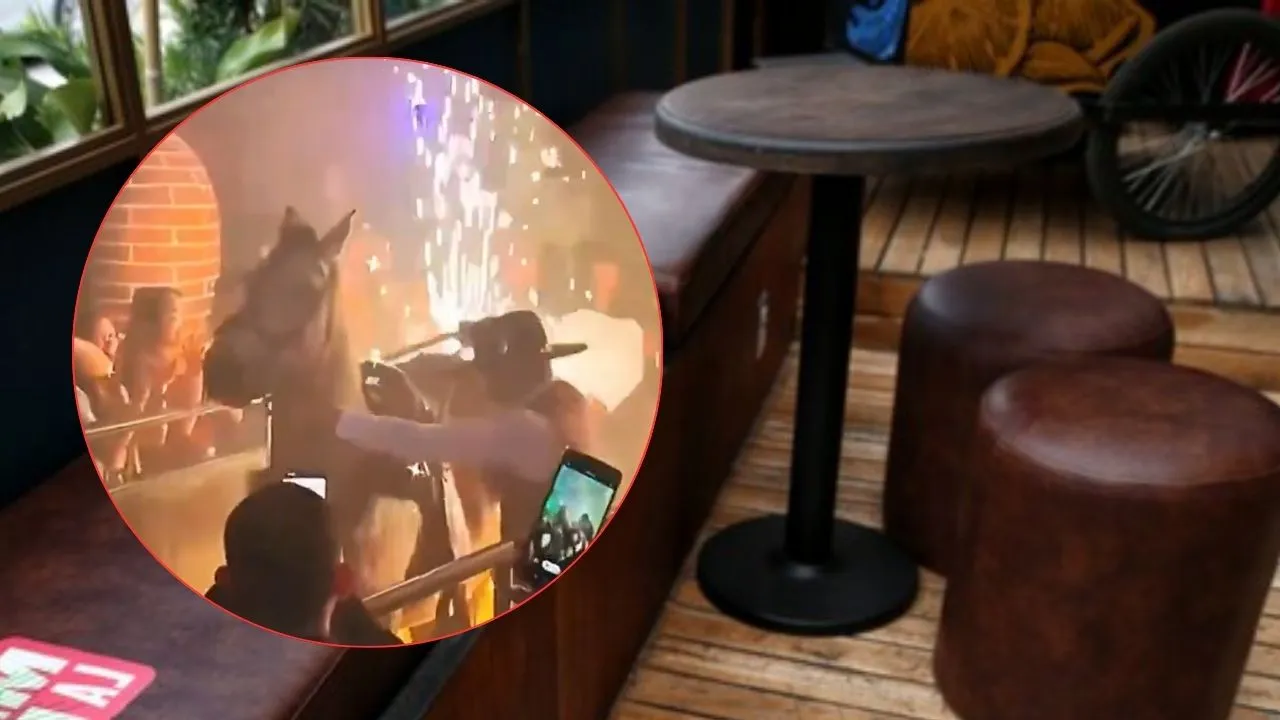 Un caso de maltrato animal se habría presentado en un bar de Bogotá Maltrato animal en Bogotá: autoridades inspeccionarán bar donde usaron un caballo en forma de entretenimiento