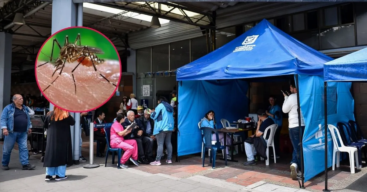 Vzcuna fiebre amarilla Fiebre amarilla: piden vacunarse a quienes van a viajar a estos municipios en Semana Santa